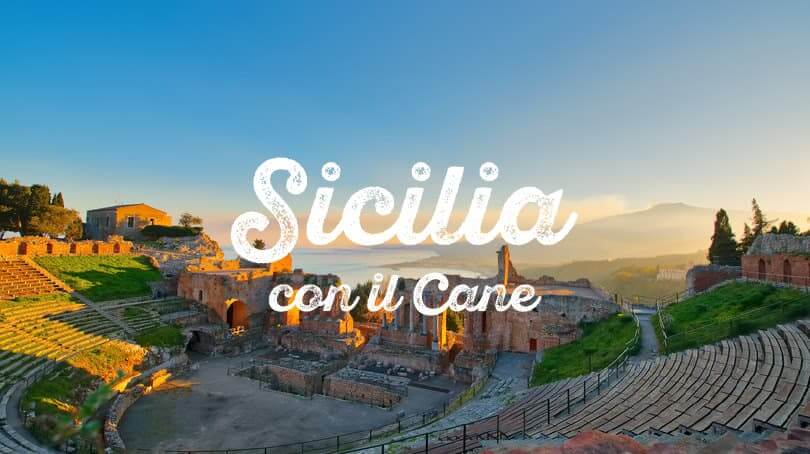 Sicilia con cane
