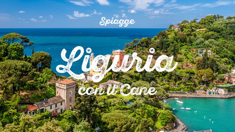 Liguria spiaggia