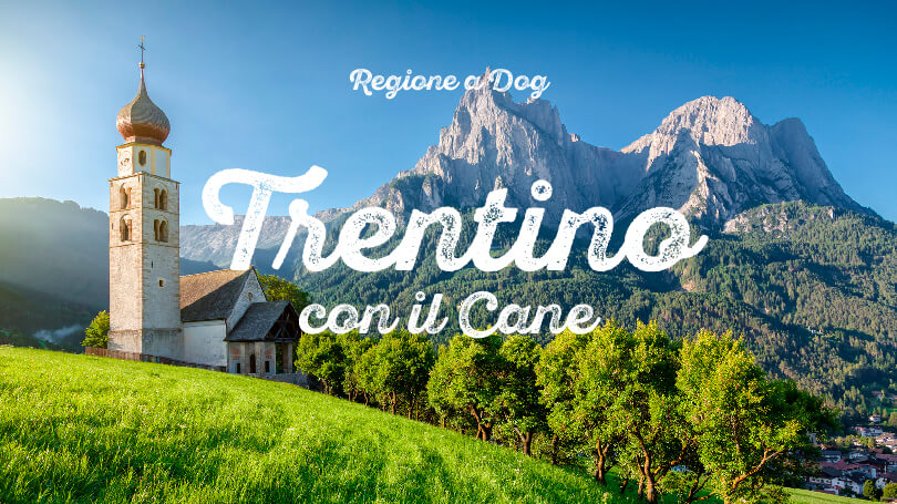 Trentino copertina