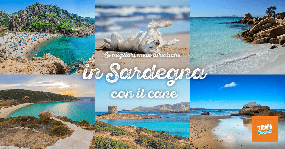 Vacanze In Sardegna Con Il Cane