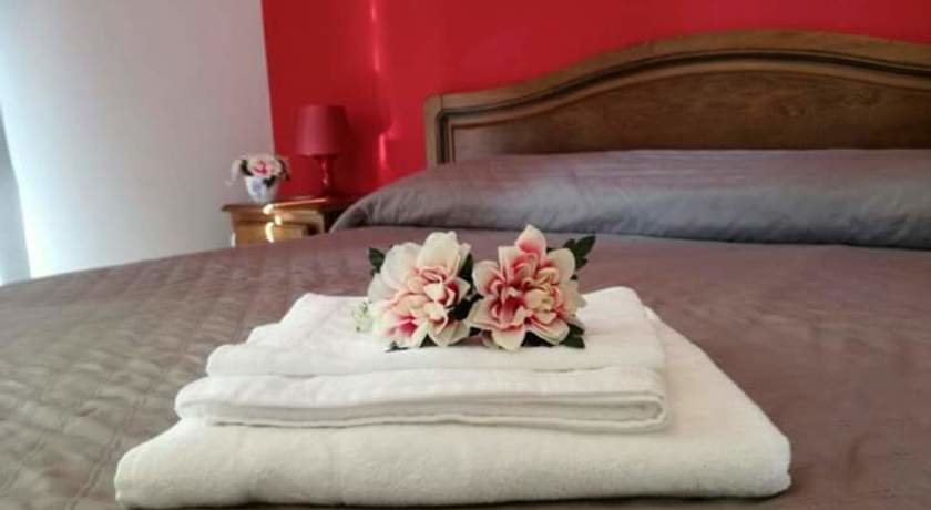 Centro B&B Florenza - Bed And Breakfast Animali Ammessi | Zampa Vacanza