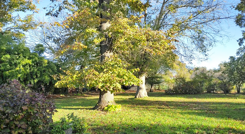 Il giardino segreto 