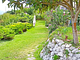 Paradise Garden & View Maria