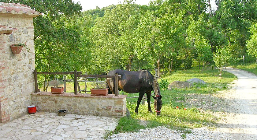 Azienda Agricola Podere Tremulini