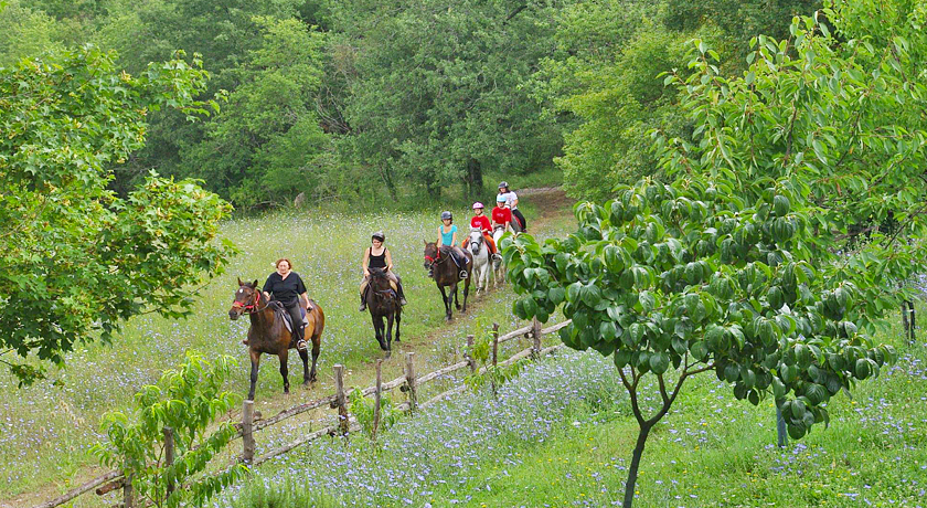 Azienda Agricola Podere Tremulini