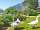 italyfarmstay