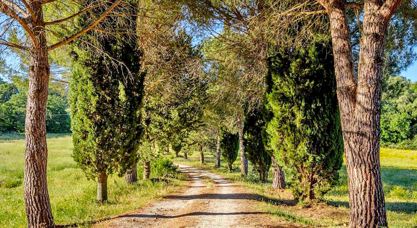 Agriturismo Landgut Podere Carbone Scansano