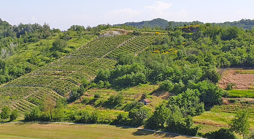 La Casa di Bacco B&B