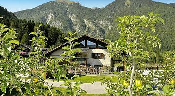 Camping Parco Adamello