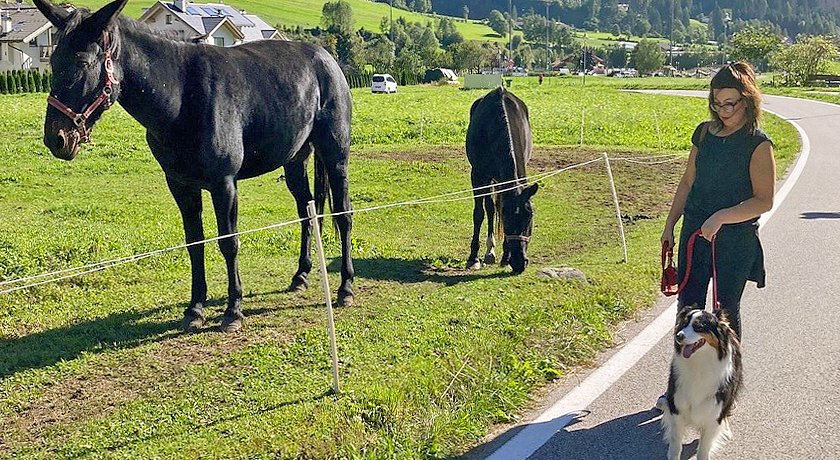 Agritur Col Verde