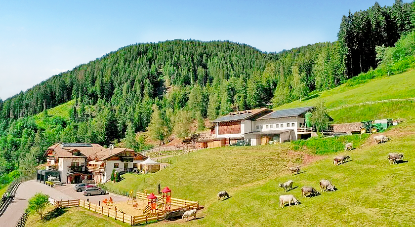 Agritur Maso Fior di Bosco