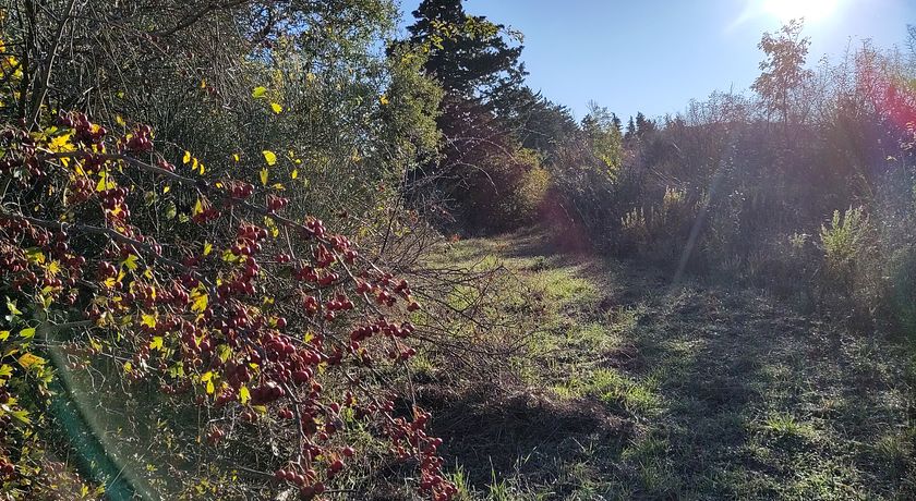 Cascina Mottainai