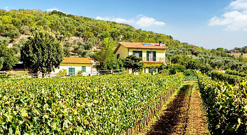 Poggiolivi Agriturismo Bio in Maremma