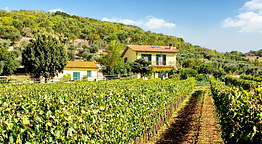 Poggiolivi Agriturismo Bio in Maremma