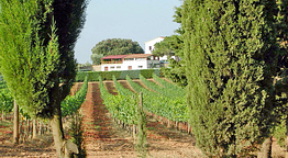 Agriturismo Tesorino