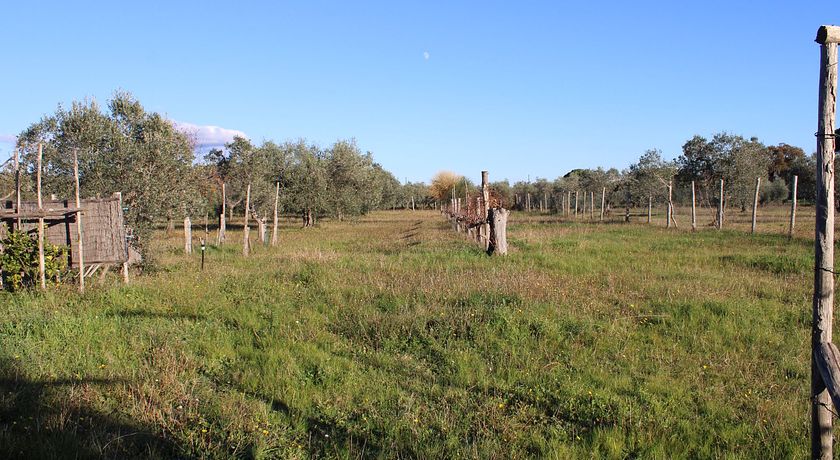 Cottage immerso in straordinario podere recintato privato nella campagna toscana