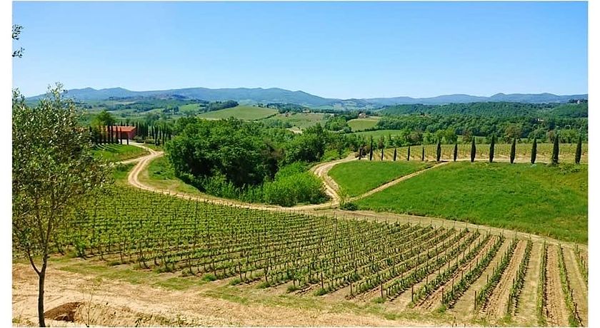 Società Agricola Le Palaie srlu