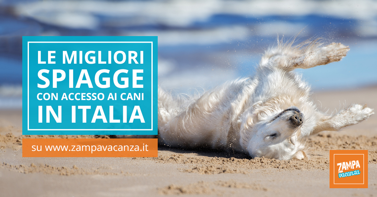 Spiagge Libere E Dog Beach Cani Ammessi In Lazio