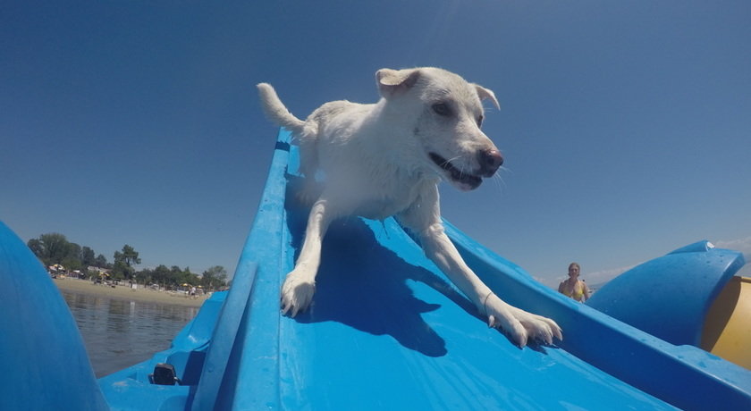 Spiaggia Di Snoopy Dog Beach In Friuli Venezia Giulia