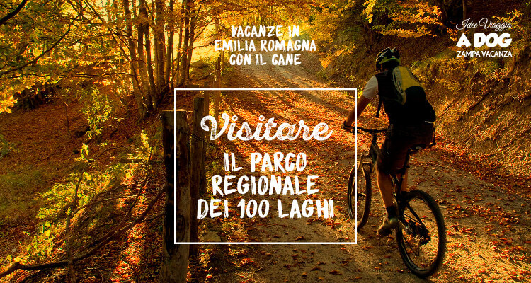 Vacanze in Emilia Romagna con animali: visitare il Parco Regionale dei 100 Laghi 