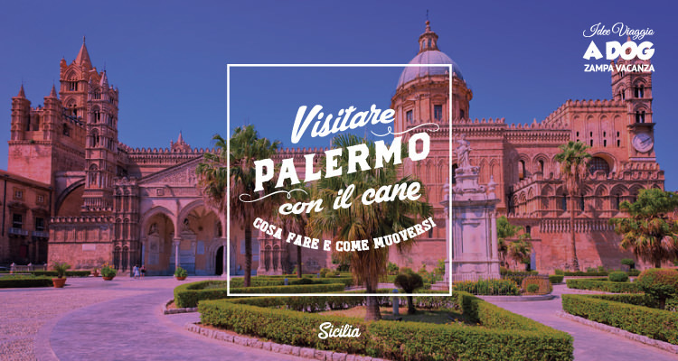Visitare Palermo con il cane - Cosa fare e come muoversi