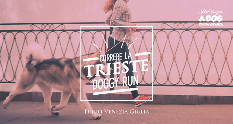 La Trieste Doggy Run con il cane