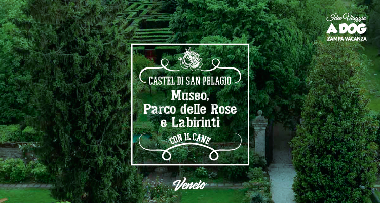 Scopri il Castello di San Pelagio con il cane: Museo, Parco delle Rose e Labirinti