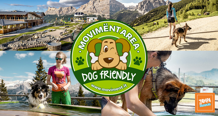 Movimënt, i parchi in quota dell'Alta Badia diventano Dog Friendly