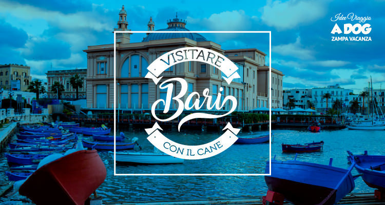 Visitare Bari con il cane
