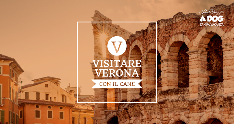 Visitare Verona con il cane