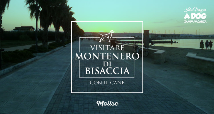 Visitare Montenero di Bisaccia con il cane