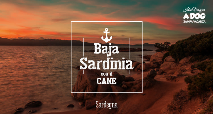 Visitare Baja Sardinia con il cane
