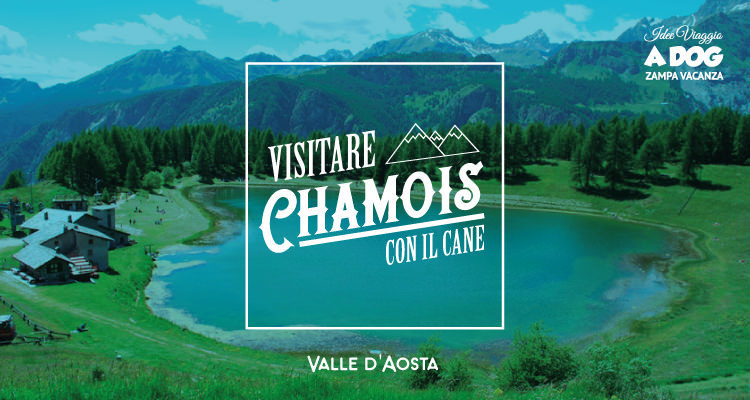 Valle d’Aosta: Visitare Chamois con il cane 
