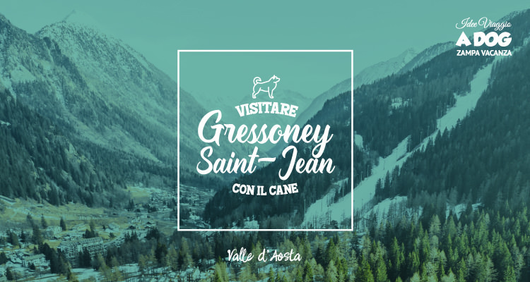 Visitare Gressoney-Saint-Jean con il cane