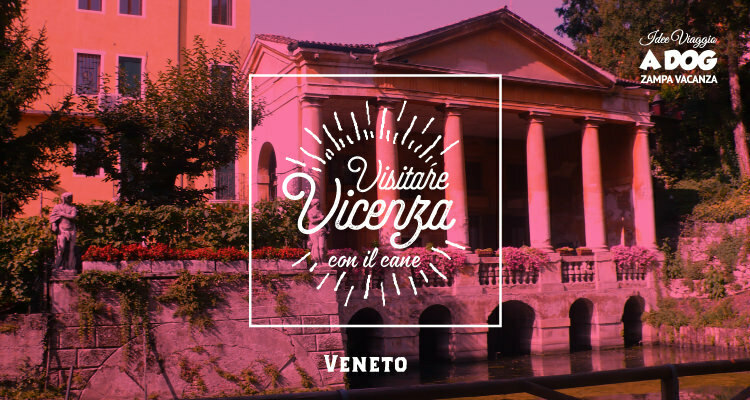 Visitare Vicenza con il cane