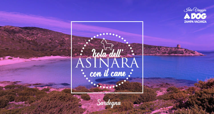 Visitare l'Isola dell'Asinara con il cane