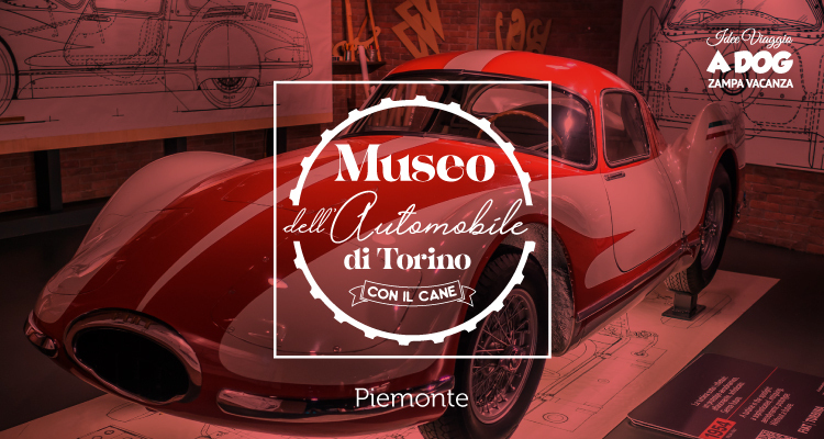 Museo dell'Automobile di Torino con il cane