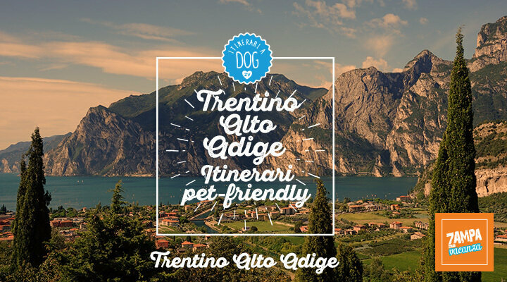 Trentino Alto Adige pet-friendly 